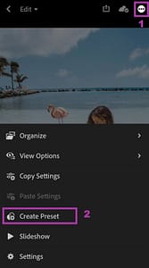 how to import presets Into lightroom mobile
